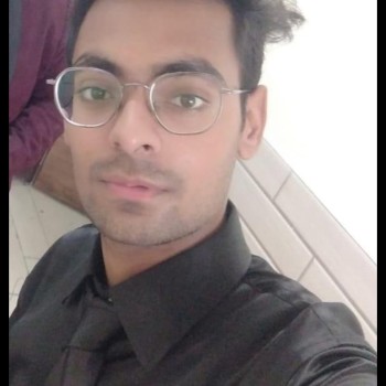 Hardik Saluja